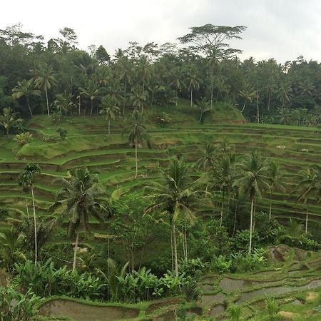 Appartamento Pangkung House Ubud Esterno foto