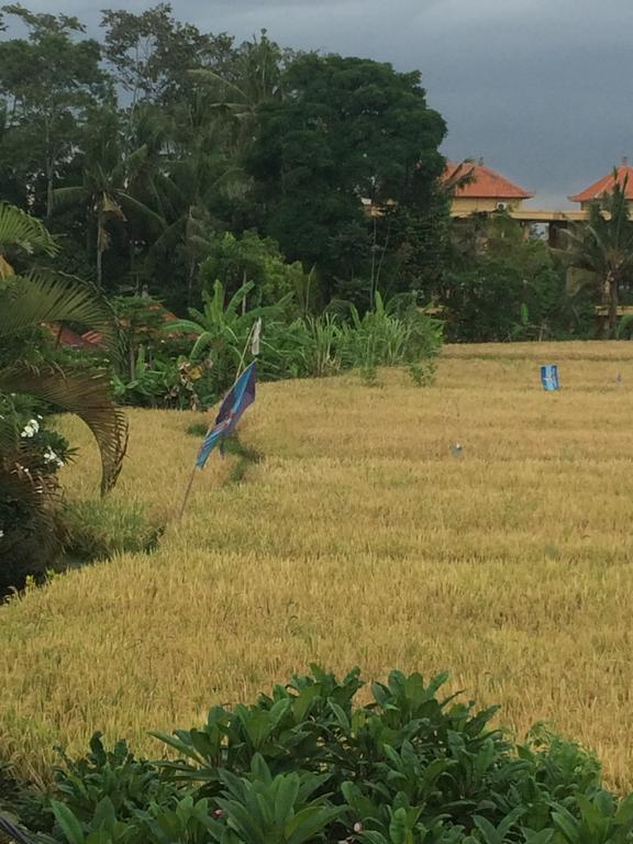 Appartamento Pangkung House Ubud Esterno foto