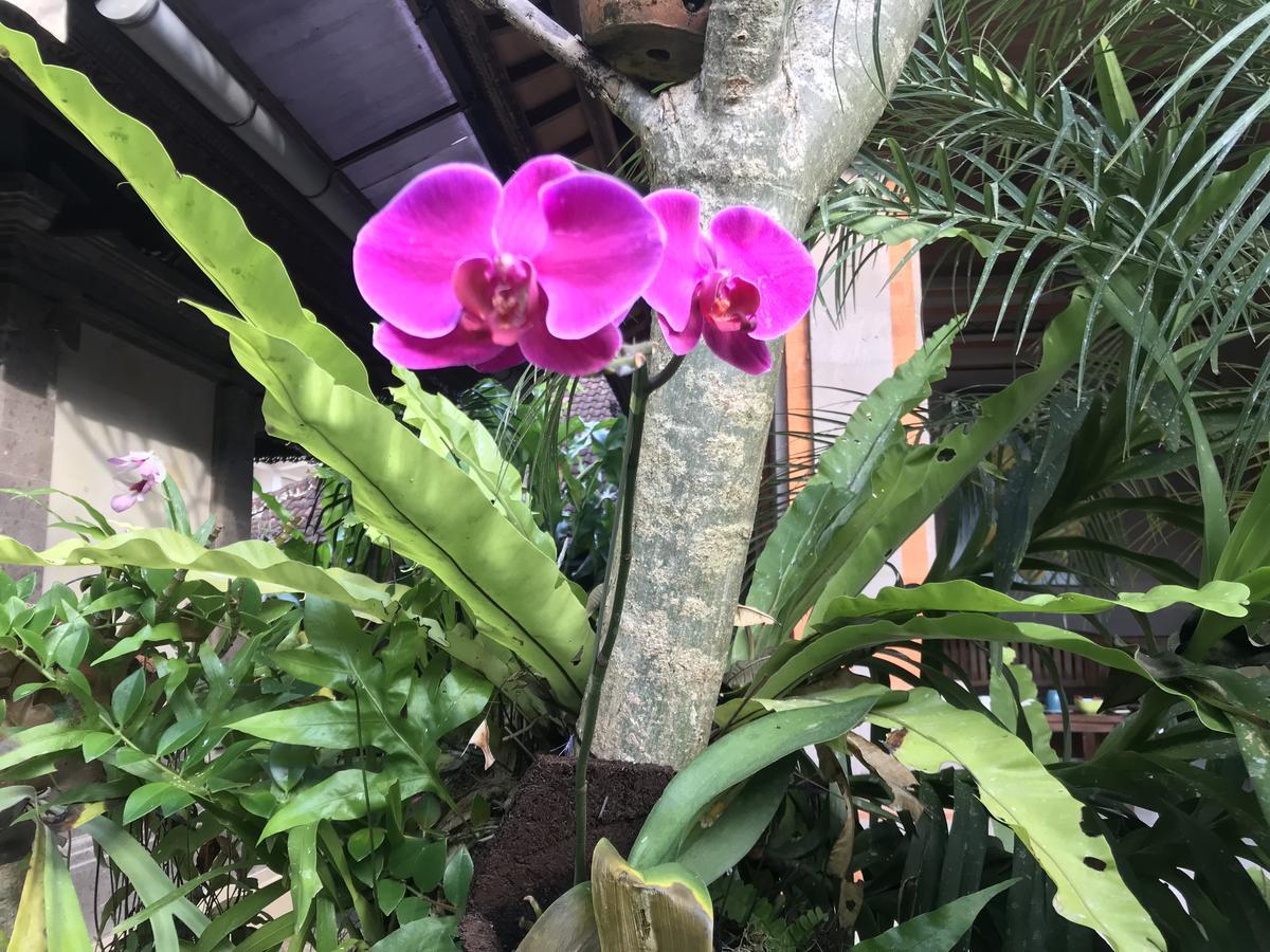 Appartamento Pangkung House Ubud Esterno foto